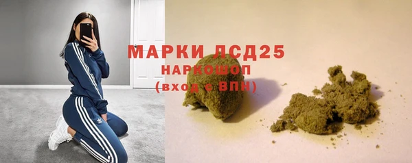PSILOCYBIN Приозерск