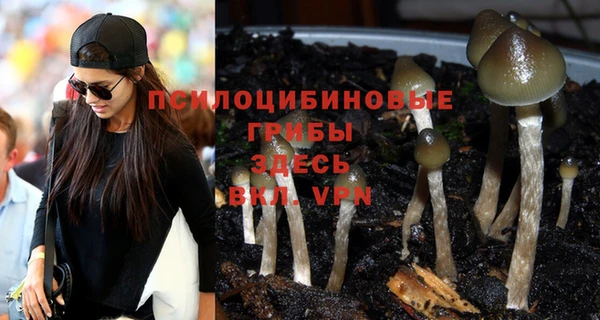 винт Пролетарск