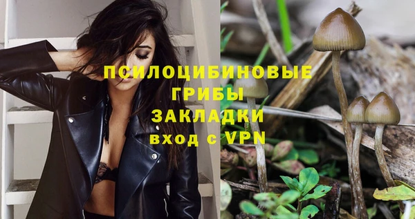 винт Пролетарск