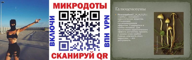 Псилоцибиновые грибы GOLDEN TEACHER  Купить  Змеиногорск 